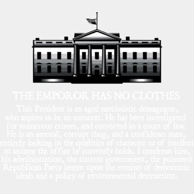 The Emperor Has No Clothes Thumbnail